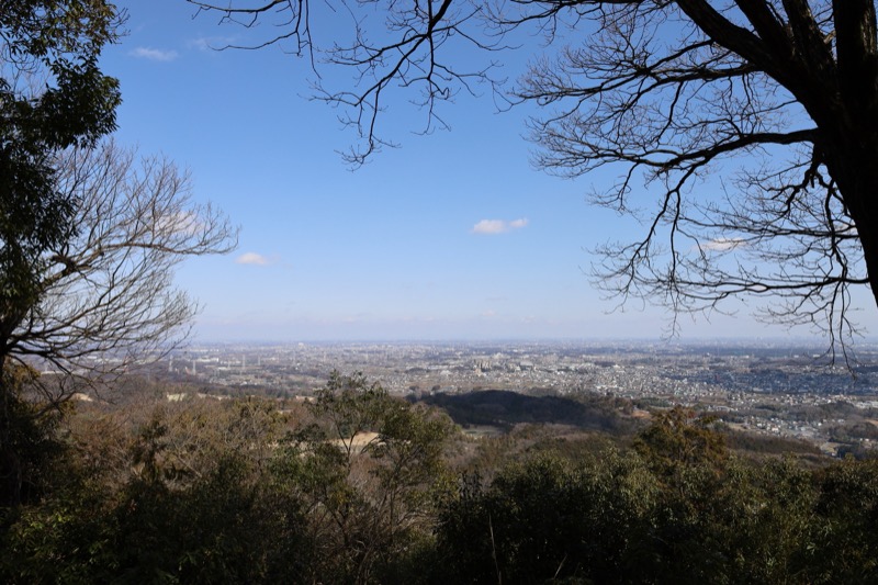 日和田山、物見山